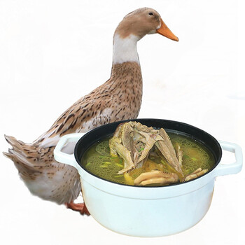 初土记老鸭土鸭麻鸭新鲜鸭肉母鸭整鸭水鸭土鸭子活水放养新鲜现杀净重