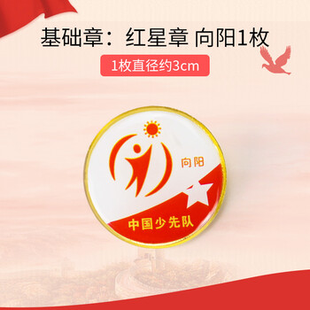 队徽徽章集体个人一星章基础章特色章争章手册争章卡印章收 向阳章