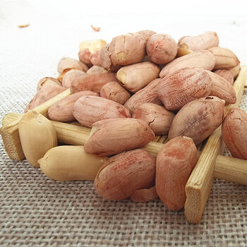 天津武清风味狗屁果仁五香花生米300克*3袋零食炒货香酥下酒菜 狗屁