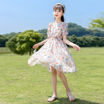 哈熙牛女童连衣裙夏季雪纺碎花裙儿童裙子夏天公主裙女孩夏装中大童