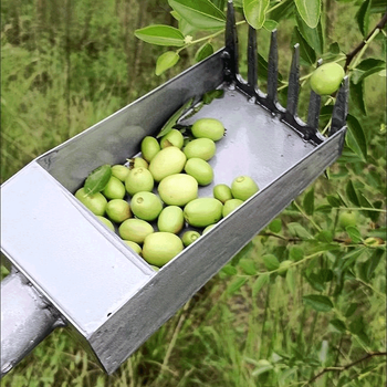 摘酸枣神器新款摘野枣机手动农用摘果器防扎手高效摘山果山枣工具 a摘