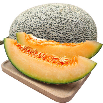 现摘农家牛奶哈密瓜10斤新鲜日本品种静冈小蜜甜瓜网纹瓜海南水果4