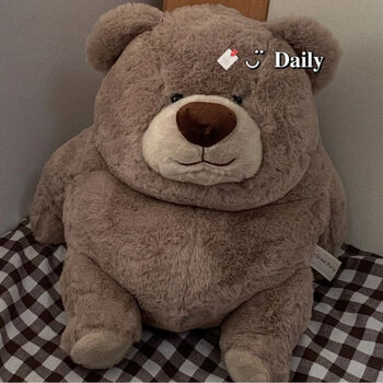任天堂小红书同款可爱小熊玩偶儿童玩具礼物公仔胖胖棕熊毛绒抱枕熊胖