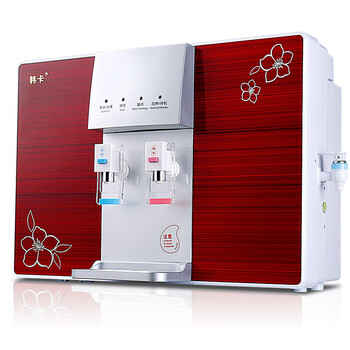 浴尚雅韩卡净水器农村井水自吸一体冷热直饮机家用机厨房壁挂纯水机反