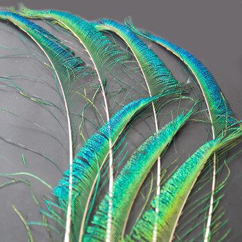 孔雀尾羽真孔雀羽毛翎尾大眼睛diy饰品家居摆设客厅婚庆花瓶装饰品