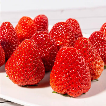 京鲜配送九九草莓牛奶草莓新鲜现摘草莓 1盒
