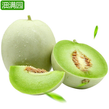 
玉菇甜瓜 奶香蜜甜瓜 新鲜应季蜜瓜当季水果 5-6斤装【精选装】 