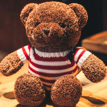 定制毛绒泰迪熊小熊布娃娃公仔玩具抱抱熊小熊玩偶儿童生日礼物 小熊