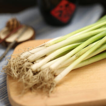 源外園(順豐速發)東北小蔥農家自種現摘新鮮嫩蔬菜發芽蔥白露蔥香蔥蘸