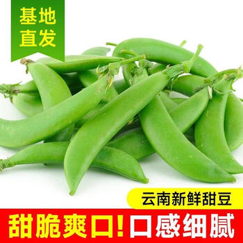 生果乐云南露天甜豆甜蜜豆带壳吃甜脆豌豆新鲜当季