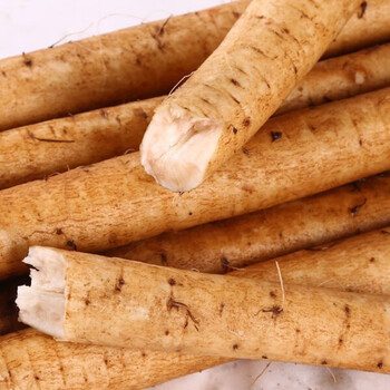 新鲜牛蒡3斤 现挖出口级黄牛蒡根苍山特产非徐州牛蒡茶黄金5斤 出口级