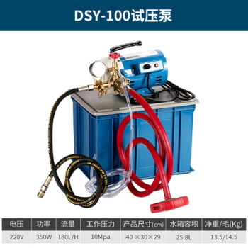 定制DSY-25 60手提式电动试压泵 PPR水管道试压机 双缸打压泵打压机 DSY-100(0-100公斤压力)