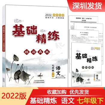 2022深圳专版 基础精练七年级下册语文人教版 含A本+B本+复习卷+过关练习+答案