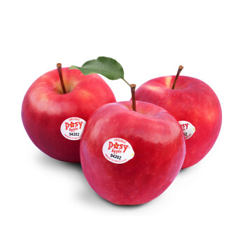 新西兰特级有机POSY小花苹果 大果4粒尝鲜装 单果重约180-230g 新鲜水果苹果