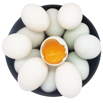 赛卡伊生海鸭蛋广西北海新鲜海鸭蛋北部湾特产50枚6875克