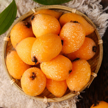 福建云霄枇杷当季新鲜水果甜3斤装