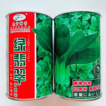白菜种子大叶黑叶油亮矮脚苏州青上海青菜籽四季蔬菜种孑 罐装绿翡翠