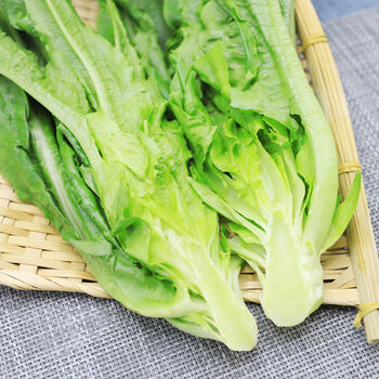 新鲜油麦菜云南当季时令蔬菜农家自种叶菜莜麦菜 苞心芥菜5斤