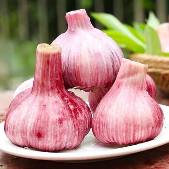 大蒜头紫皮蒜白皮蒜大蒜全蒜头 1份 6