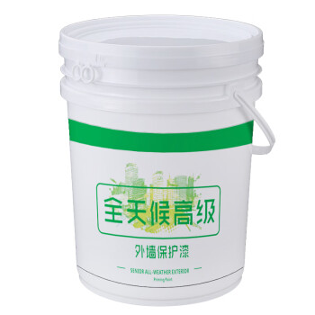 ASMES(安盾) ASW610防霉抗藻耐玷污全天候高级外墙涂料白色 20kg