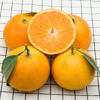 冠季爱媛果冻橙四川青见38号果冻橙新鲜孕妇水果甜橙子脐橙整箱 精选