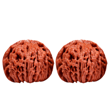山中玉pop文玩核桃四座楼狮子头