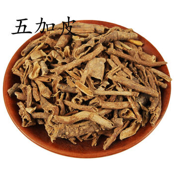 北五加皮 香五加皮根 新鲜干货 泡酒料 500克 五加皮片500g
