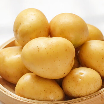 贵州雷山新鲜现挖小土豆当季蔬菜烧烤洋芋黄皮黄心马铃薯农家自种