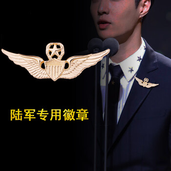 五角星美国金属徽章勋章胸章飞行徽章影视道具服饰配饰陆军金章金色