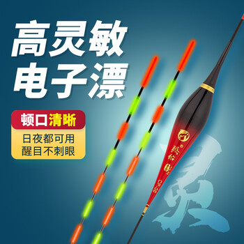 臻佑（Grsaed）鱼漂电子漂水无影夜用夜光漂鲫鲤鱼漂夜钓漂醒目高灵敏浮标CP02