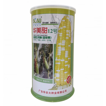 禾之润华南农业大学蔬菜金银粟华美甜号黄白高产超甜水果玉米杂交种子