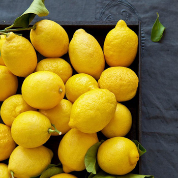 精选生鲜柠檬优选新鲜水果榨汁泡茶批发多规格柠檬泡水一斤装大果