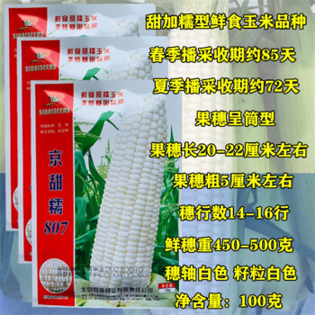 碩柯園國審珍甜糯66玉米種子早熟大棒黑糯玉米種籽鮮食金冠597玉米