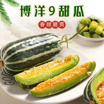 山东博洋9号甜瓜当季新鲜羊角蜜香瓜脆瓜 5斤