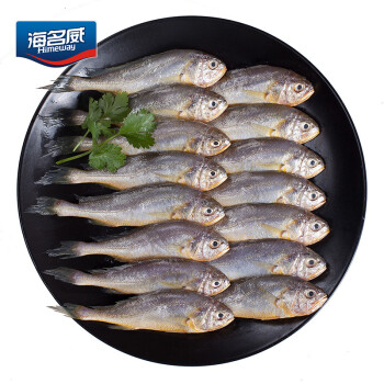 海名威 冷冻东海小黄鱼500g 16-20条 海鱼 生鲜鱼类 海鲜水产 烧烤