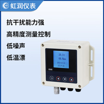 虹润温湿度控制器工业智能数显仪表温度湿度露点传感器探头ws10 [ws
