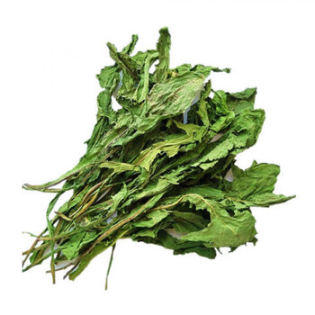 大叶烘干菊苣干草龙猫兔子草菊苣叶天竺鼠豚鼠荷兰猪全叶牧草250g 500