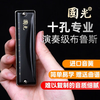 国光布鲁斯口琴蓝调10孔c调十孔初学入门男士成人专业演奏级 黑色e调