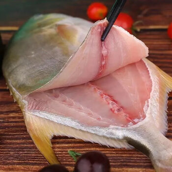 金鲳鱼新鲜特大号海捕生金鲳鱼大号鲜冻平鱼金昌鱼海鲜 超市品质无冰