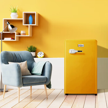 志高(chigo)复古冰箱迷你小型家用单开门冰箱50升彩色欧式网红电冰箱