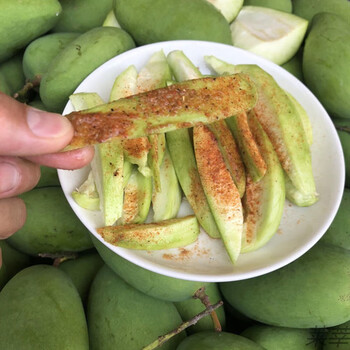 现摘新鲜广西酸脆芒象牙芒果孕妇水果海南1斤象牙芒辣椒盐象牙芒