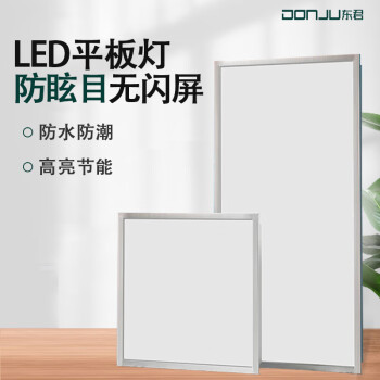 东君 集成吊顶灯LED面板灯浴室平板灯铝扣板厨卫灯 办公商业工程 40W正白光6500K 300*600 一个