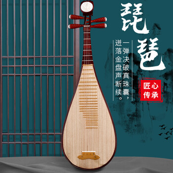 菲铭琵琶乐器初学入门成人儿童红木琵琶琴演奏考级花梨木琵琶 儿童版