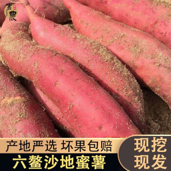 沐小七果蔬【现货现发】福建六鳌红薯 沙地红薯 红心地瓜 新鲜番薯5斤 5斤 大果（单果4-7两）