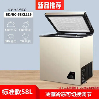 容声冰柜一级能效小冰柜家用公寓宿舍冷冻冷藏双开门双温 58升单 门
