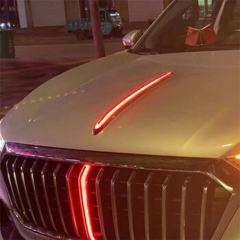 红旗h5中网流水灯流光灯车标hs5发光改装翼子板旗标灯流水装饰引擎机