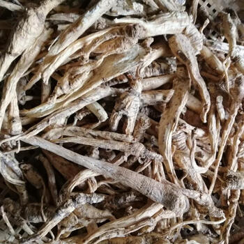 倪师推荐贵州纯野生南沙参250克泡参 特级泡沙参三叶沙参南方人参内廷