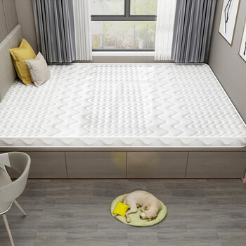 能见度榻榻米床垫子定做椰棕家用塌塌米床垫订做踏踏米炕垫定制尺寸