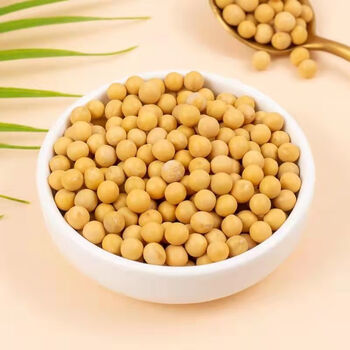 黄豆农家自产大黄豆五谷杂粮豆类豆浆生豆芽黄豆批发 大粒 一斤装(97%