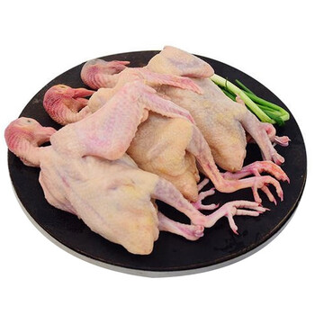 莘优品 新鲜乳鸽 净膛 鸽子 乳鸽现杀 350g/1只 烧烤煲汤滋补 鸽子肉